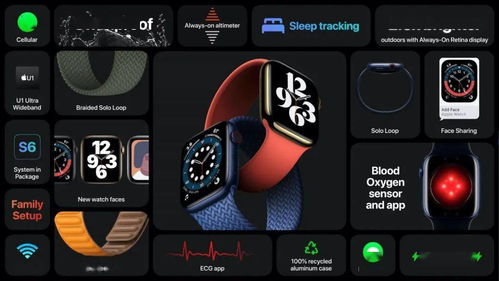 Apple Watch Series 6 的玄機 U1 芯片與無線 CarPlay 如何重塑手腕上的智能生態